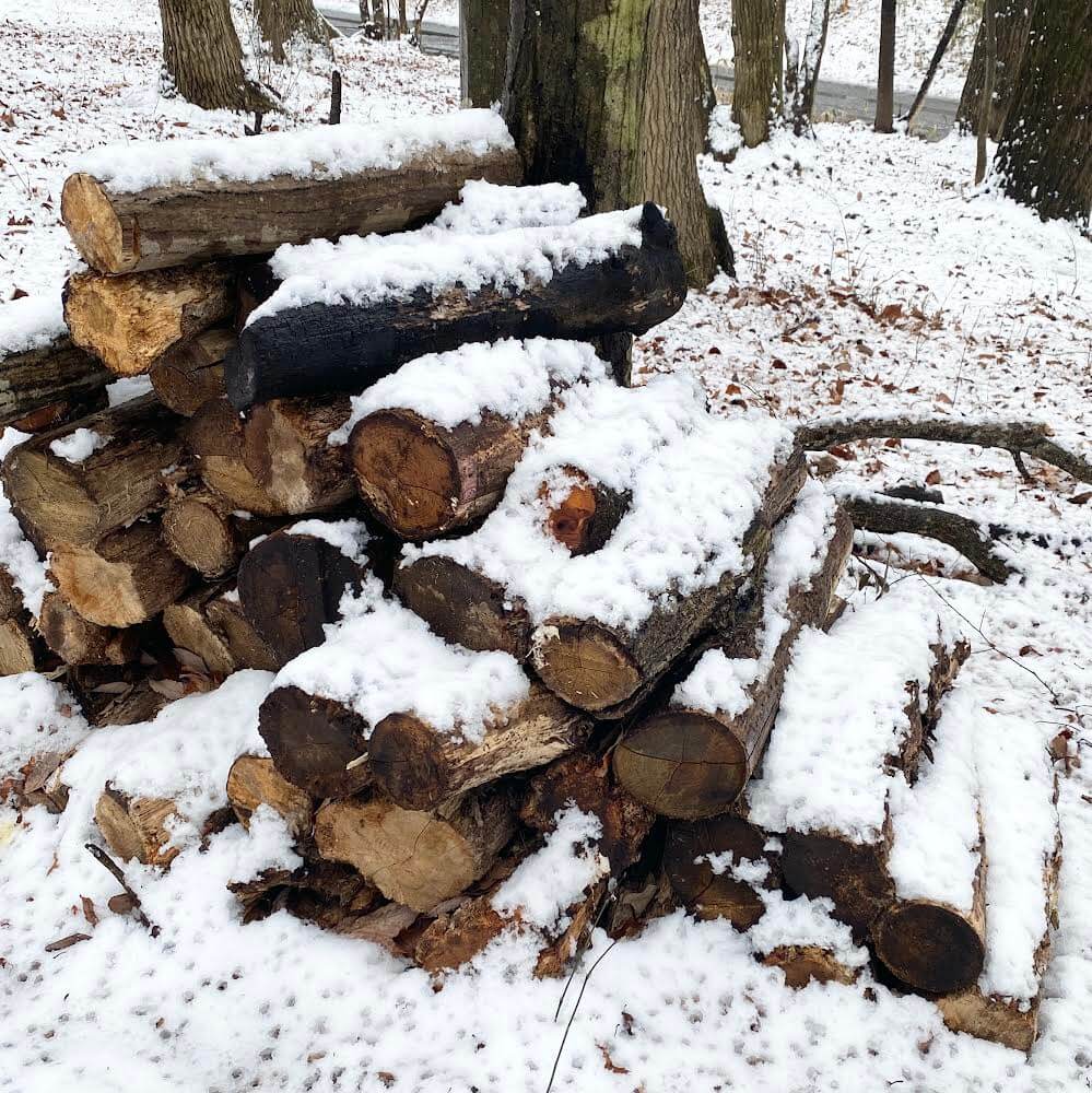 2022年1月 月子の「もうすぐ満月ですよ」焚き火