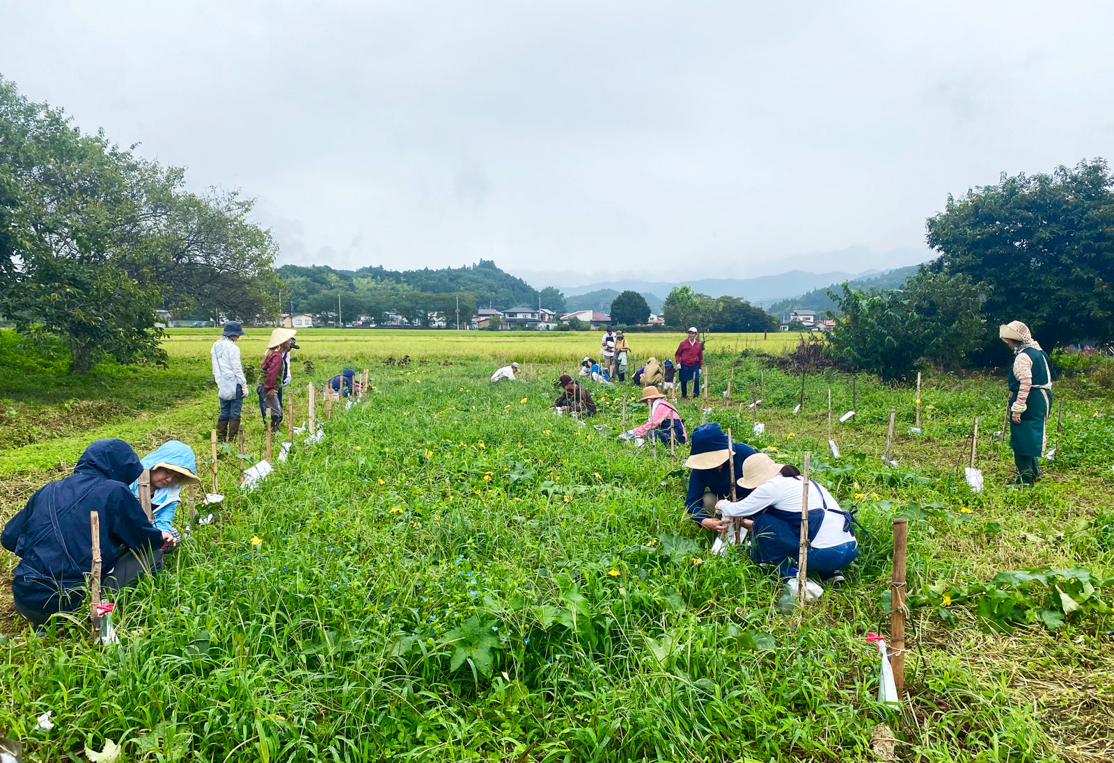 月の巡りと共に-「那須贅沢時間」10巡り目 「採水」