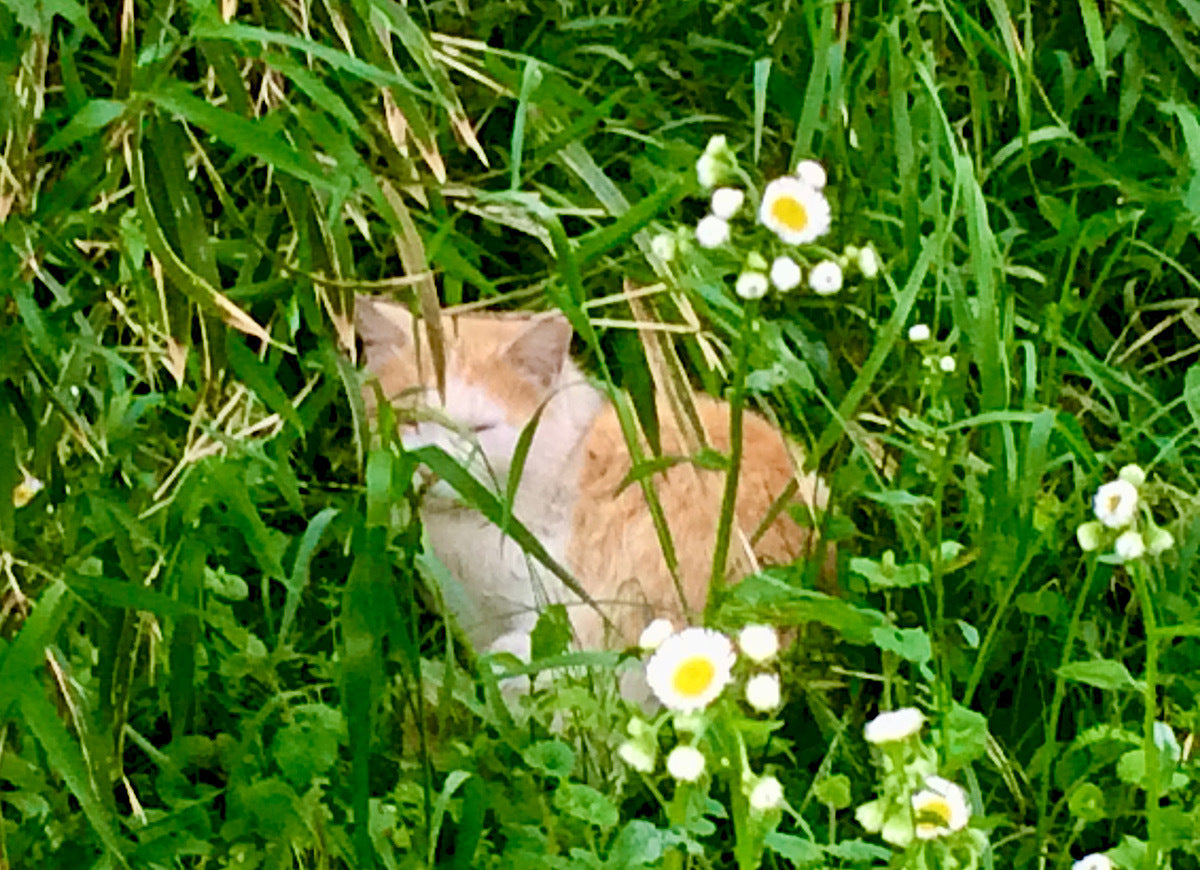 月子の「もうすぐ満月ですよ」幸せホルモンについて