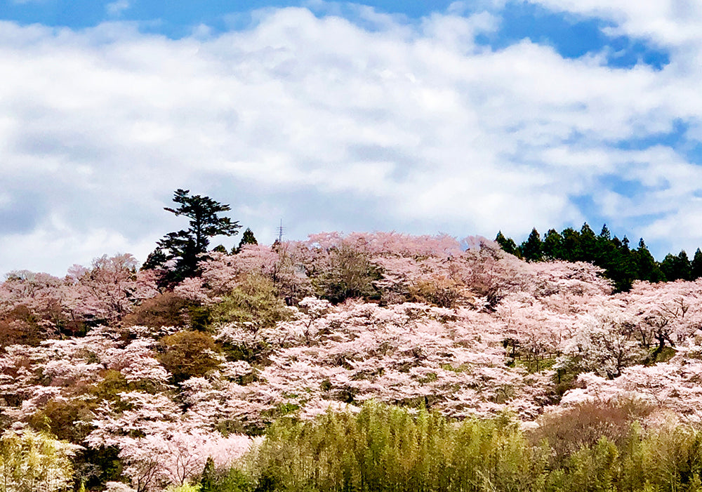 月子の「もうすぐ満月ですよ」「モーンガーター」ースウェーデン語ーの意味は……