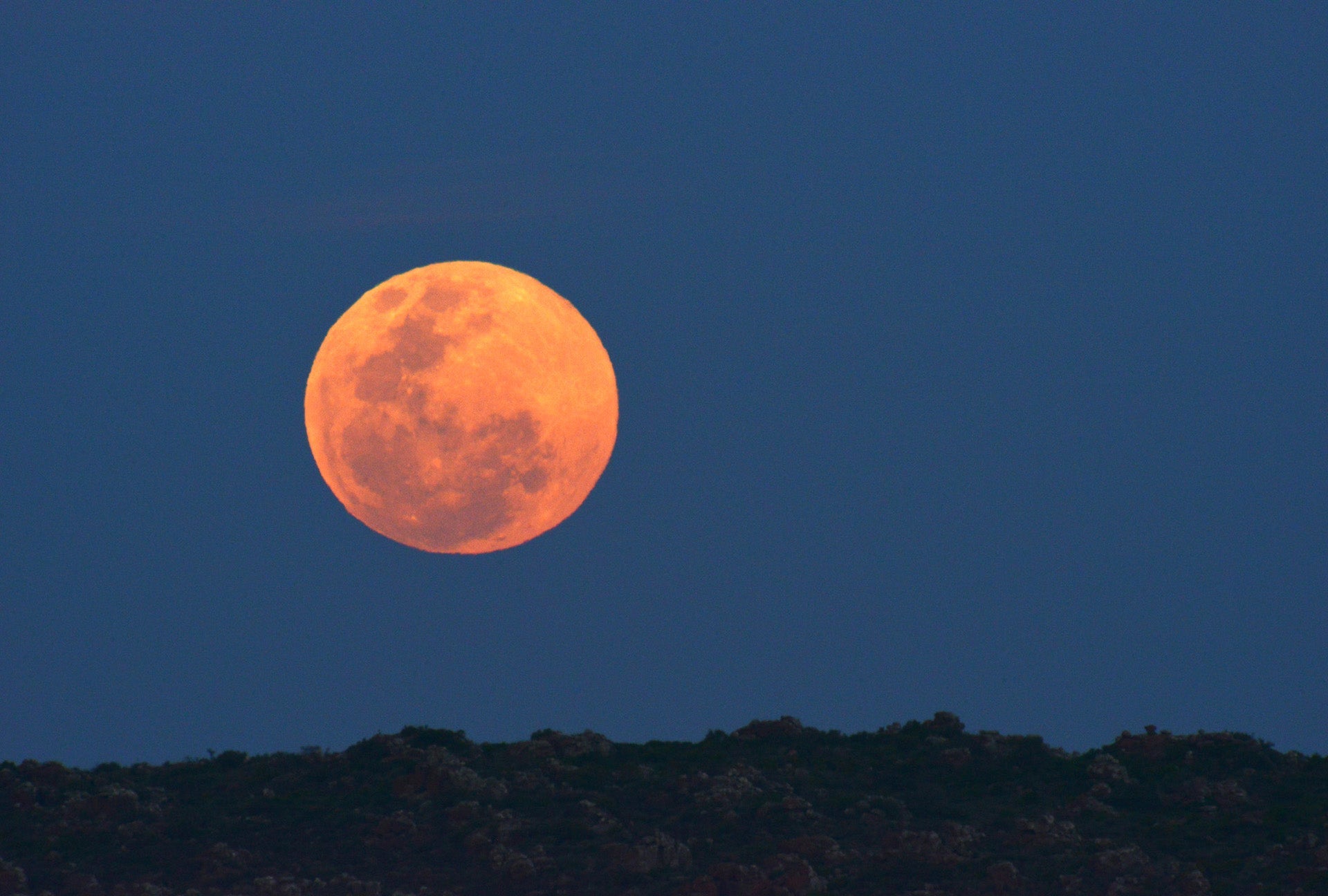 月子の「もうすぐ満月ですよ」パンを焼く日