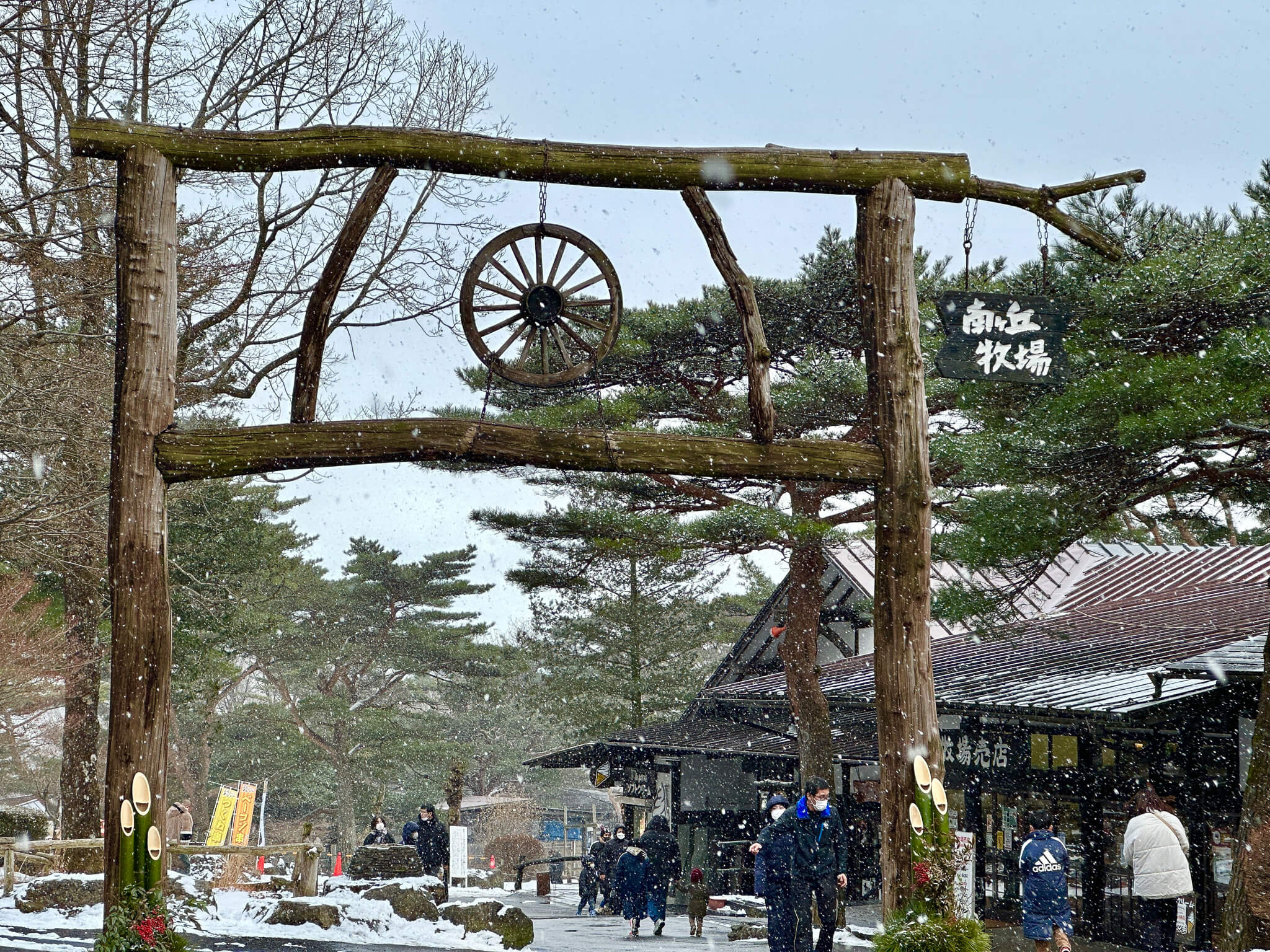 月子の「もうすぐ満月ですよ」那須のうさぎ
