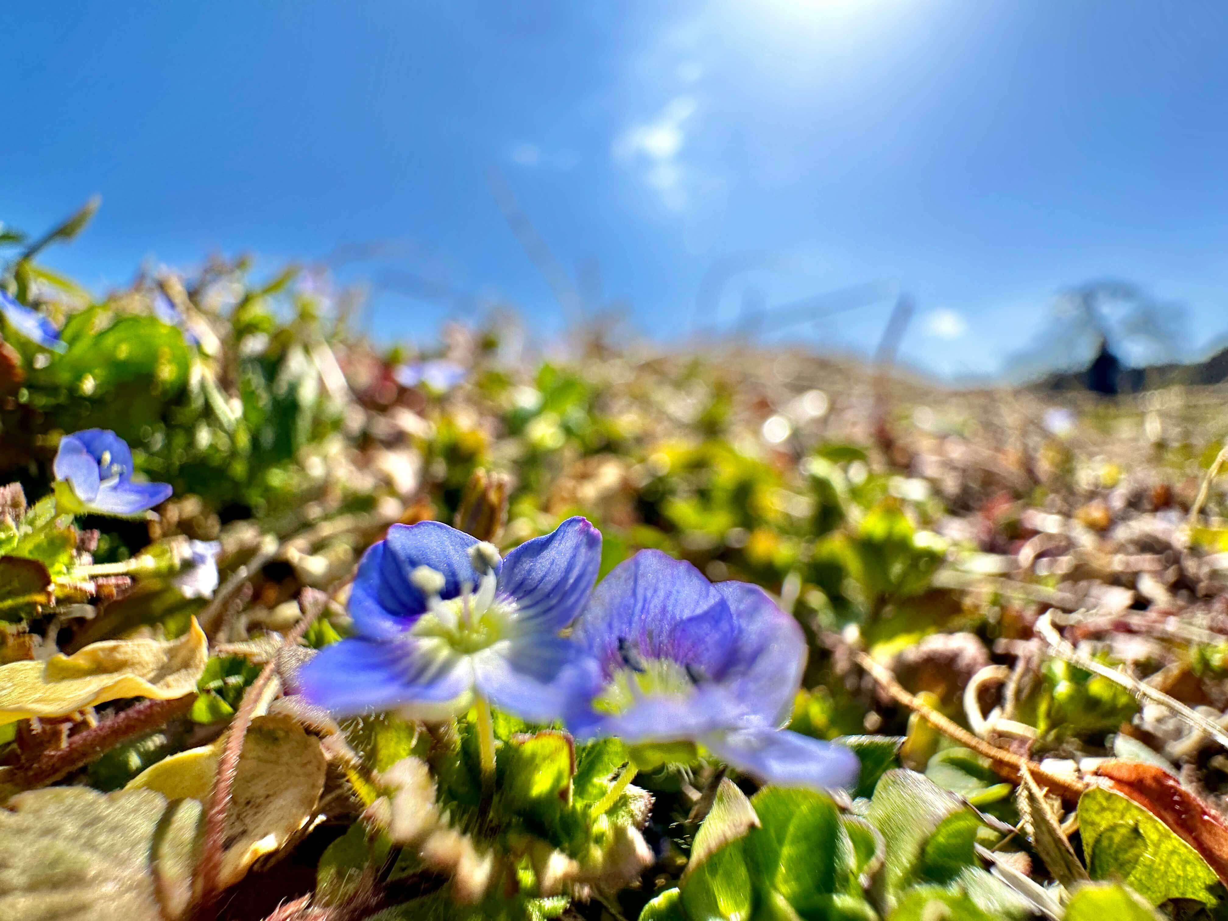 月子の「もうすぐ満月ですよ」春風の名前