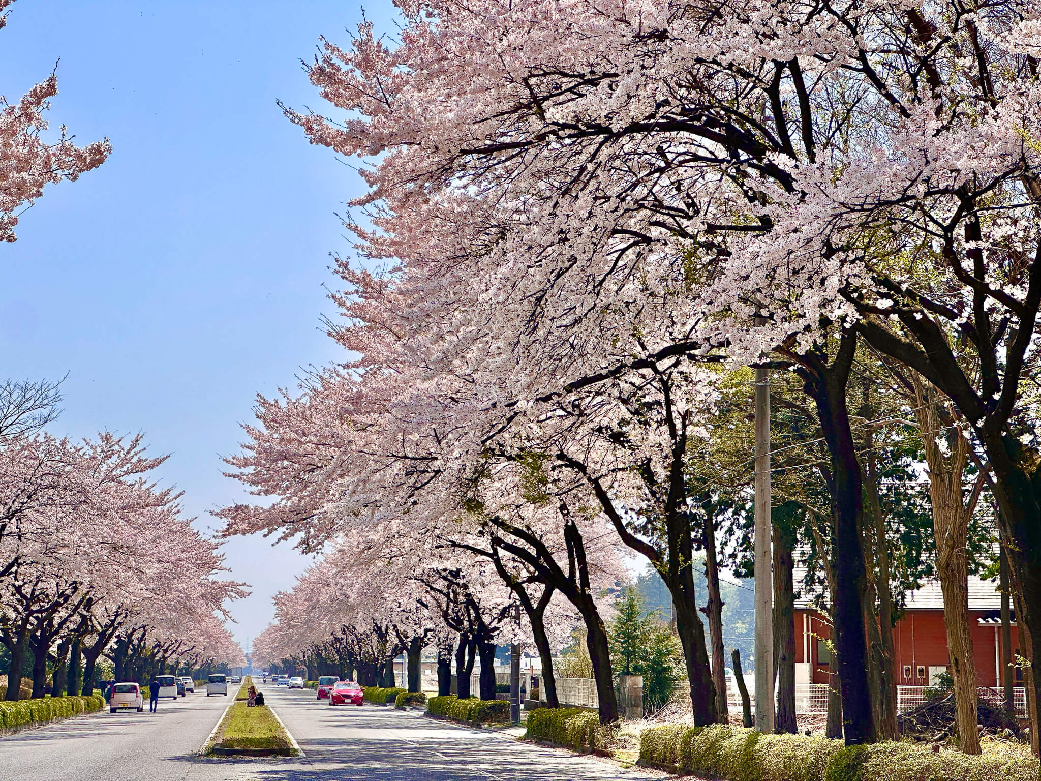 月子の「もうすぐ満月ですよ」イースターと卵とプリン