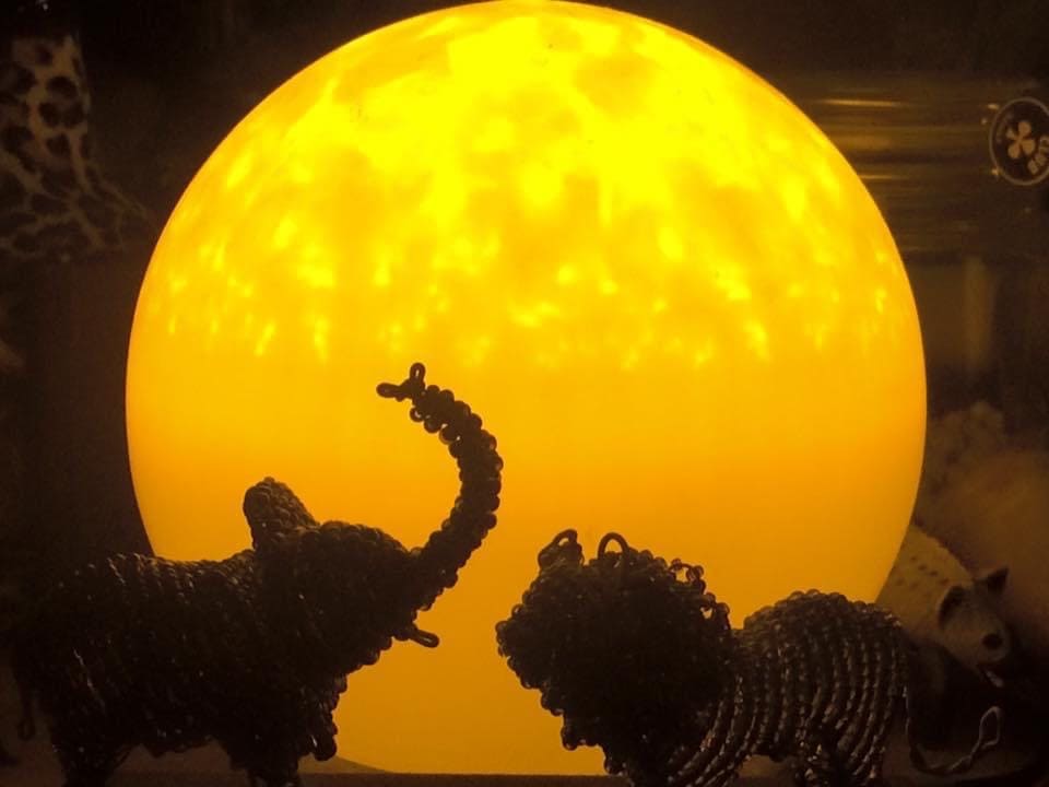 月子の「もうすぐ満月ですよ」月夜に、象鼻杯(ぞうびはい)