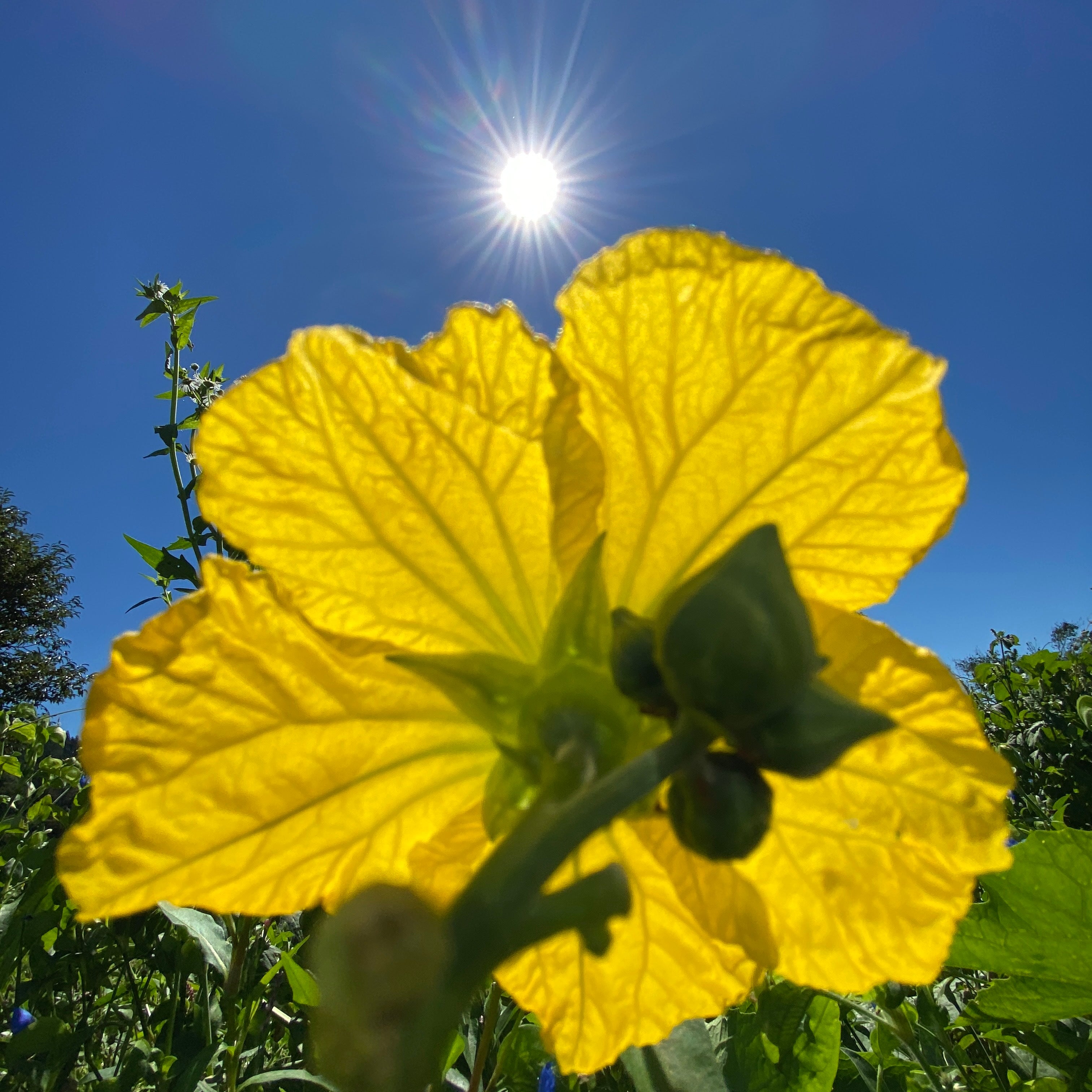 TSUKICO|月子 満月化粧水