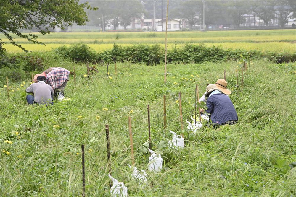 月子の「もうすぐ満月ですよ」特別なお月見の日