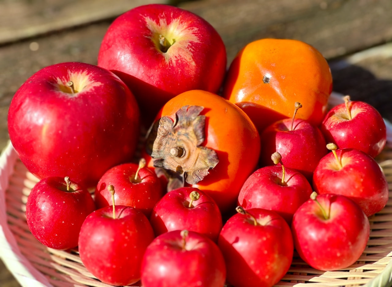 月子の「もうすぐ満月ですよ」月の食材