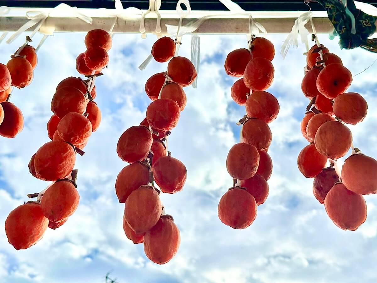 月子の「もうすぐ満月ですよ」贈り物