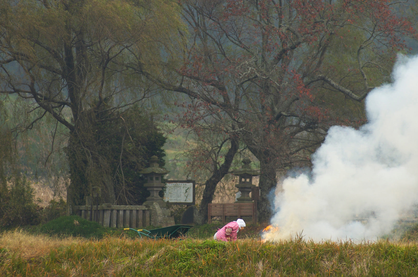 月子の「もうすぐ満月ですよ」月うさぎ