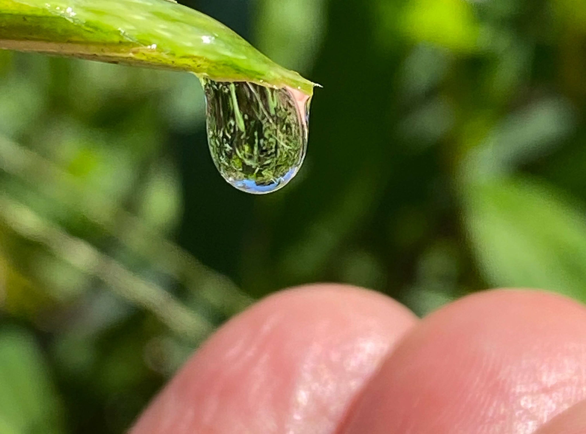 月子の「もうすぐ満月ですよ」月と塩
